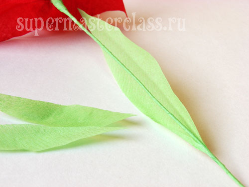 Κολλήστε τα φύλλα