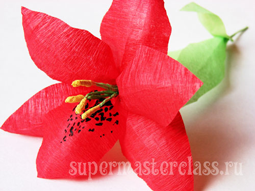 Κρίνος από κυματοειδές χαρτί: master class