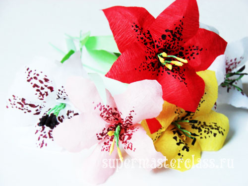 Κρίνα από κυματοειδές χαρτί