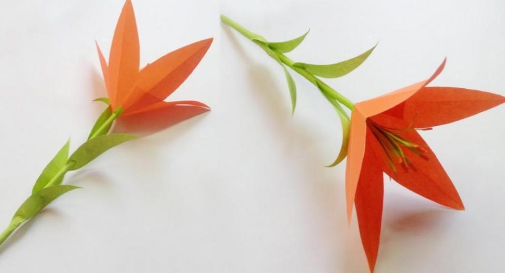 πώς να φτιάξετε ένα λουλούδι κρίνο