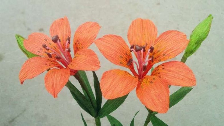 Πώς να φτιάξετε ένα κρίνο από χαρτί σε διαφορετικές τεχνικές: οδηγίες βήμα προς βήμα DIY, τα απαραίτητα εργαλεία και υλικά