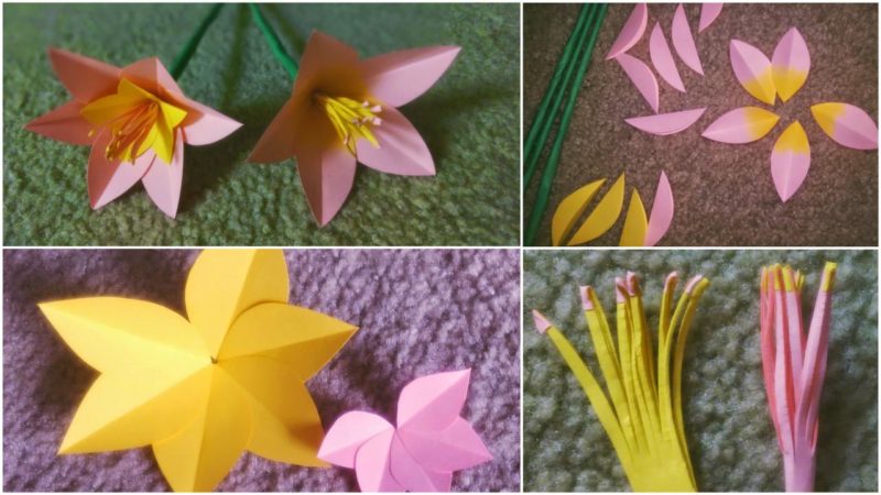 πώς να φτιάξετε ένα κρίνο