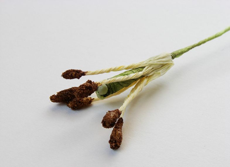 Πώς να φτιάξετε ένα κρίνο από χαρτί σε διαφορετικές τεχνικές: οδηγίες βήμα προς βήμα DIY, τα απαραίτητα εργαλεία και υλικά