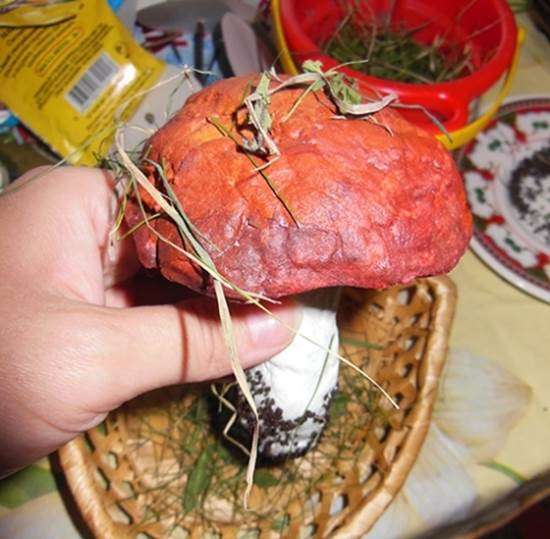 افعل ذلك بنفسك الحرف الخريف إلى المدرسة