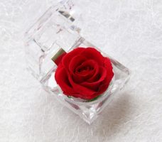 Kuinka tehdä käsitöitä kukista ja käsitöitä kukista: helpoimmat mestarikurssit ja video -ohjeet