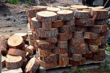 kuva radan hirsimökeistä