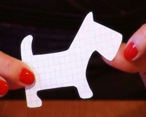 DIY koiran käsitöitä