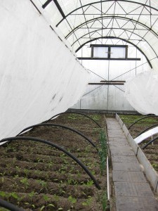 Kalvon toinen reuna on tuettava tiilellä tai kiinnitettävä