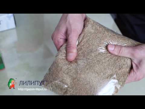 Liliputánsky trávnik