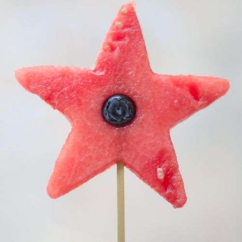 vodný melón na dekoráciu stola