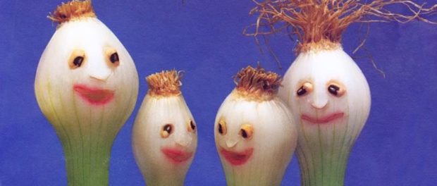 håndværk i haven af ​​grøntsager