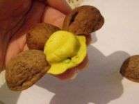 ما الحرف التي تصنع من قشور الجوز صورة الحرف الجوز