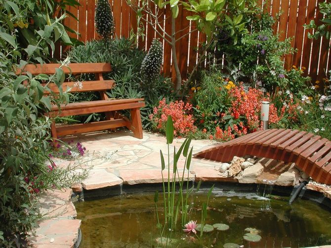 Mitkä kasvit sopivat erikokoisille lampille maassa. Tyypit, valokuva