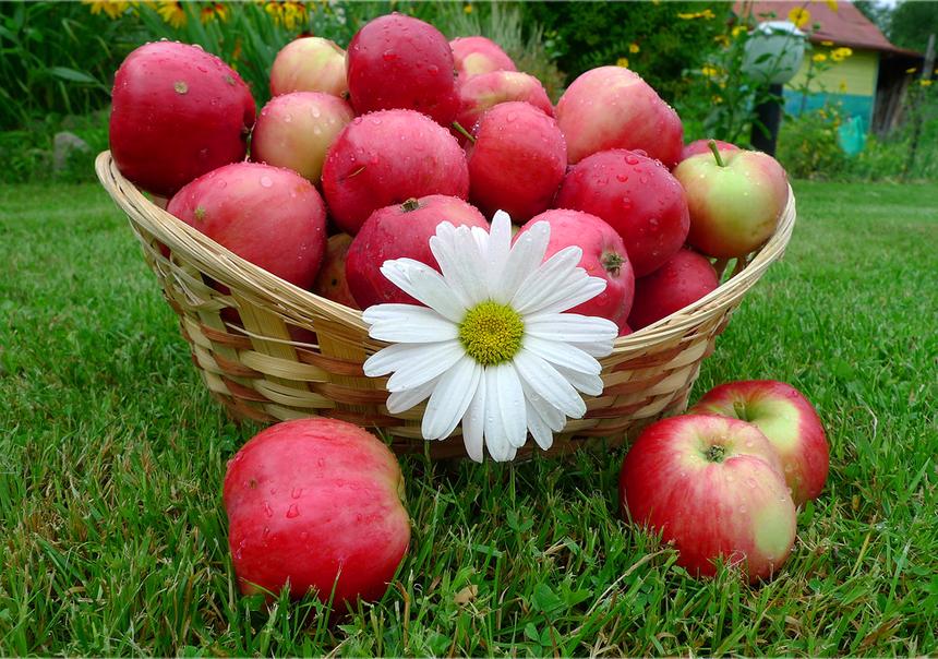 remeslá s deťmi yablokoy kúpele