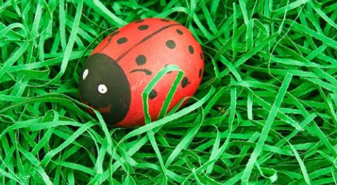 هدية إبداعية ليوم 8 مارس للزملاء