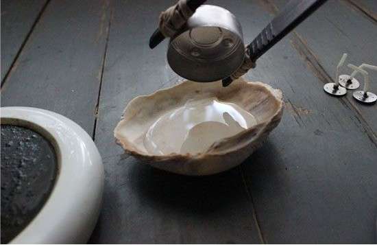 ما هي الحرفة التي تصنع من الأصداف