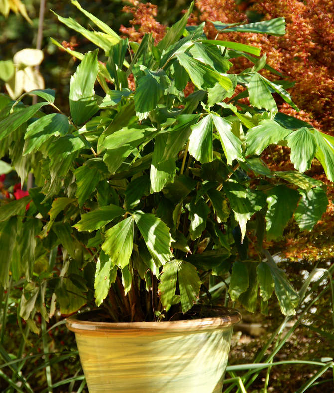 Jo højere temperaturen på indholdet er, jo højere skal luftfugtigheden være.