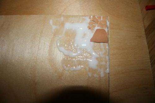 Εφαρμόστε κόλλα PVA στο κόντρα πλακέ και αρχίστε να τοποθετείτε τα κελύφη τακτοποιημένα. Τα κομμάτια μπορούν να πιεστούν προς τα κάτω με ένα πινέλο ή δάχτυλα. Πρέπει να γεμίσετε εντελώς το κόντρα πλακέ με κοχύλια.