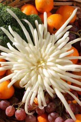 أقحوان من الملفوف الصيني