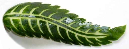 تقطيع أوراق الخيار