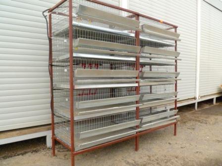 det vedrører både tilstrækkeligt lys og varme, den rigtige mad og passende bure, der let kan laves med egne hænder