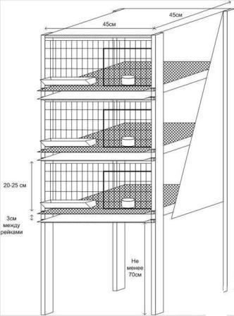 DIY vagtelburstørrelser