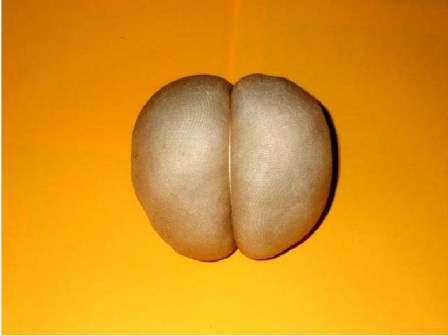 Τώρα μπορείτε να αρχίσετε να διακοσμείτε το 