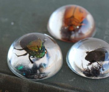 hvordan man laver en harpiksbillevedhæng derhjemme