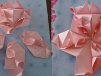 أمثلة صور Kusudama: ما هو - كيفية صنع كرة معيارية سحرية من الورق بيديك ، مخططات لتجميع زهور الأوريغامي