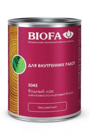 Лакове на водна основа: плюсове и минуси