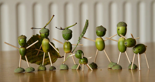 الحرف اليدوية البلوط البلوط