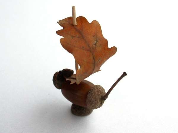 مشاهدة الحرف البلوط