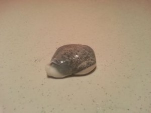 Seuraavaksi sinun täytyy vaivaa kaikki hyvin, kunnes saadaan tasainen harmaa väri.