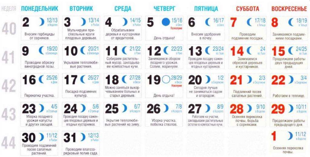 Kuun istutuskalenteri lokakuussa 2023