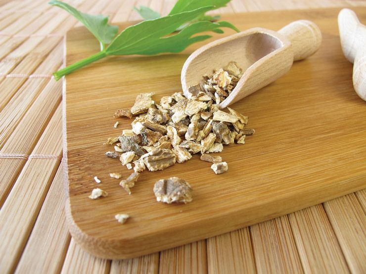 خصائص وتطبيقات Lovage