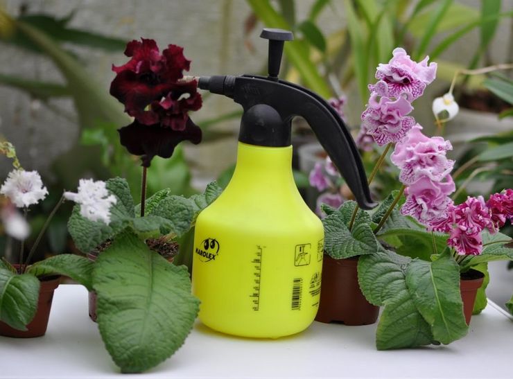 Mealybug -midler (præparater)