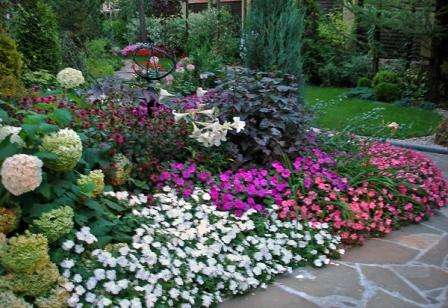 kukkapuutarha maassa