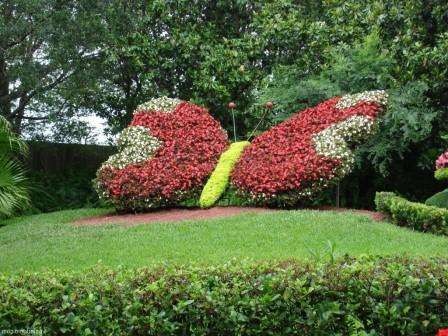 Kukkapenkin pitäisi kukkia koko kauden, joten valitse erilaisia ​​kasveja, jotka tulevat hyvin toimeen keskenään.