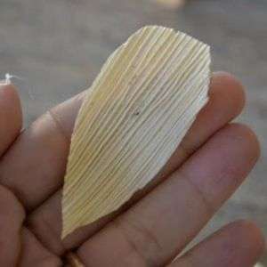 Alkuperäisiä ideoita käsitöistä maissista maissikäsityövalokuvat