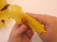 الحرف الخريف