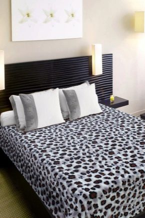 البطانيات المطلقة