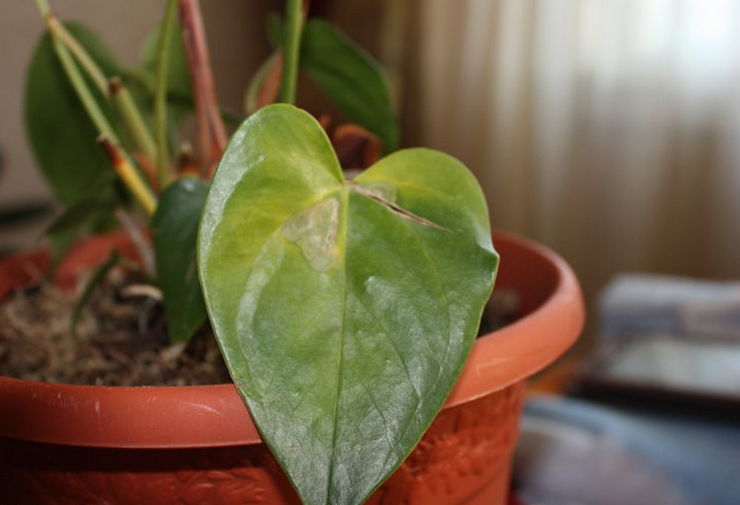 Valaistusvaatimusten rikkominen