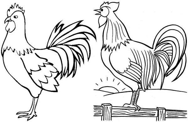 vytynanka kauniista kukosta ikkunassa