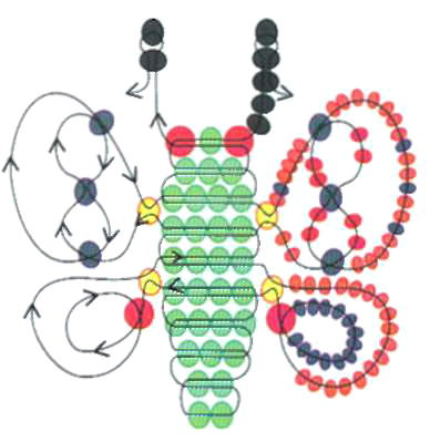 الحرف اليدوية من الخرز ذات المخططات: أمثلة للصور ومقاطع الفيديو - تعليمات ، وصف لصنع الحرف اليدوية من الخرز
