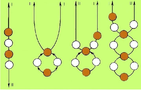الديكور للأطفال. أنماط بسيطة لنسج الحيوانات المبتدئين ، سلاسل المفاتيح ، الزهور