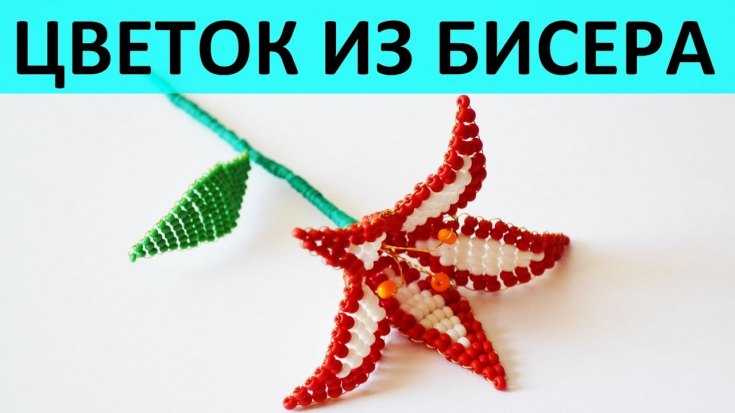 الحرف اليدوية من الخرز ذات المخططات: أمثلة للصور ومقاطع الفيديو - تعليمات ، وصف لصنع الحرف اليدوية من الخرز