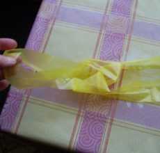 Håndværk fra plastposer-interessante ideer med en trinvis beskrivelse