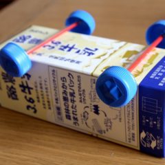 Håndværk fra plastposer-interessante ideer med en trinvis beskrivelse