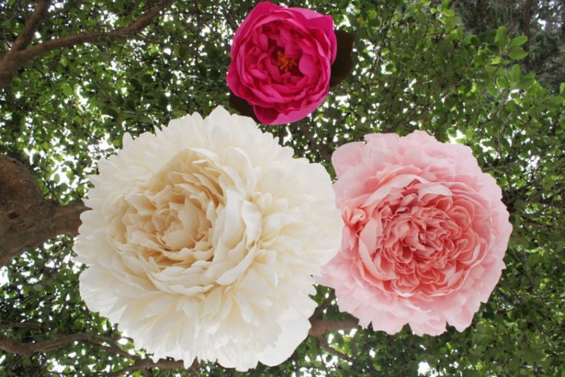 Håndværk fra plastposer-interessante ideer med en trinvis beskrivelse