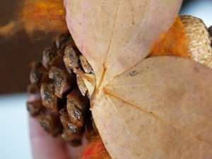 På bagsiden af keglen skal du lime 2 blade, som vil efterligne vingerne på en sød fe.